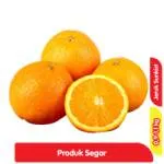 Grosir Camilan Ujung Bulu Banner